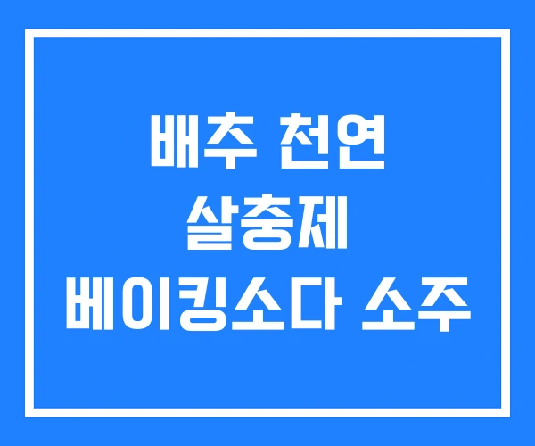 배추 천연 살충제 베이킹소다 소주 배추 천연 살충제 베이킹소다 소주