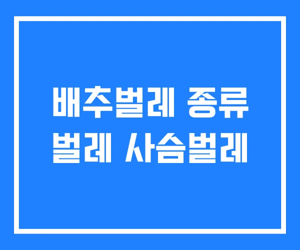 배추벌레 종류 벌레 사슴벌레