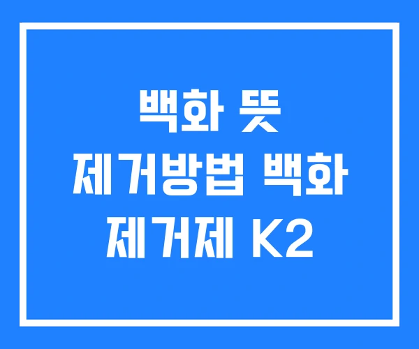 백화 뜻 제거방법 백화 제거제 K2
