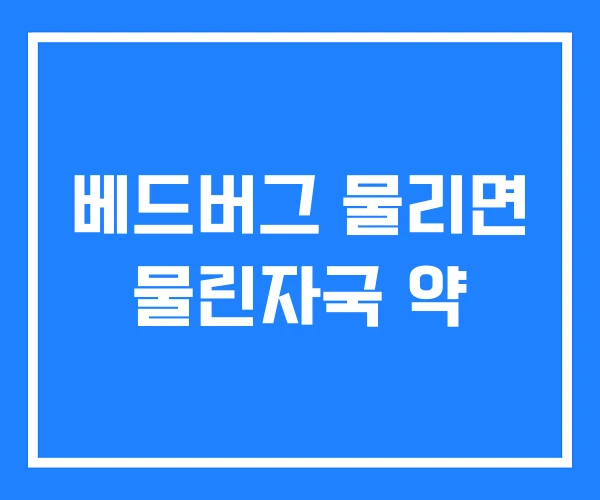 베드버그 물리면 물린자국 약