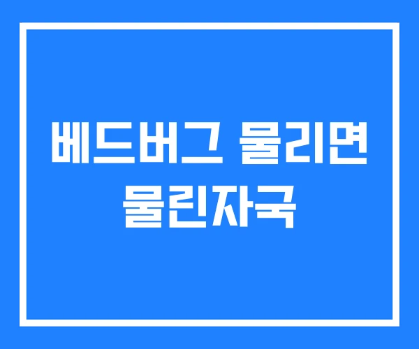 베드버그 물리면 물린자국