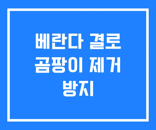 베란다 결로 곰팡이 제거 방지 베란다 결로 곰팡이 제거 방지