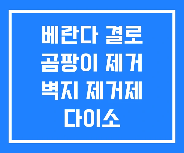 베란다 결로 곰팡이 제거 벽지 제거제 다이소