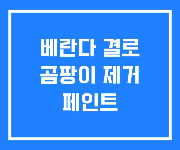 베란다 결로 곰팡이 제거 페인트 베란다 결로 곰팡이 제거 페인트