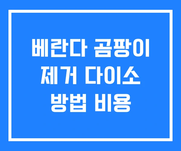 베란다 곰팡이 제거 다이소 방법 비용