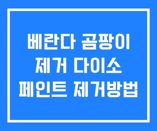 베란다 곰팡이 제거 다이소 페인트 제거방법 베란다 곰팡이 제거 다이소 페인트 제거방법