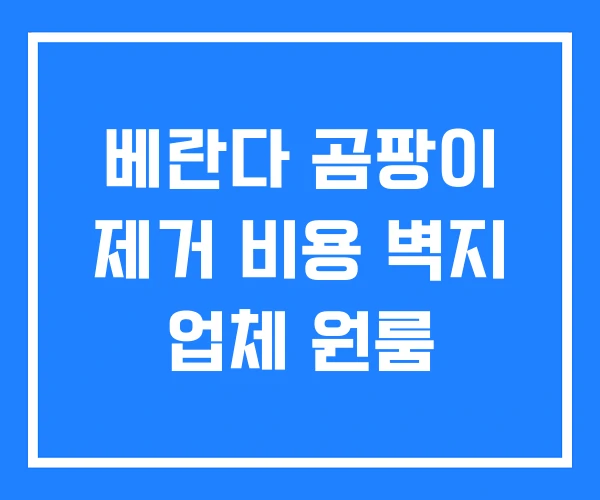 베란다 곰팡이 제거 비용 벽지 업체 원룸