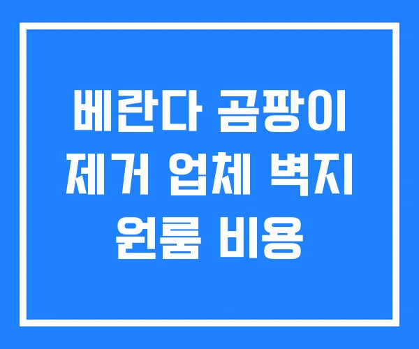 베란다 곰팡이 제거 업체 벽지 원룸 비용
