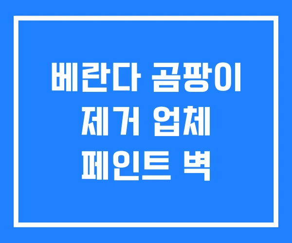 베란다 곰팡이 제거 업체 페인트 벽