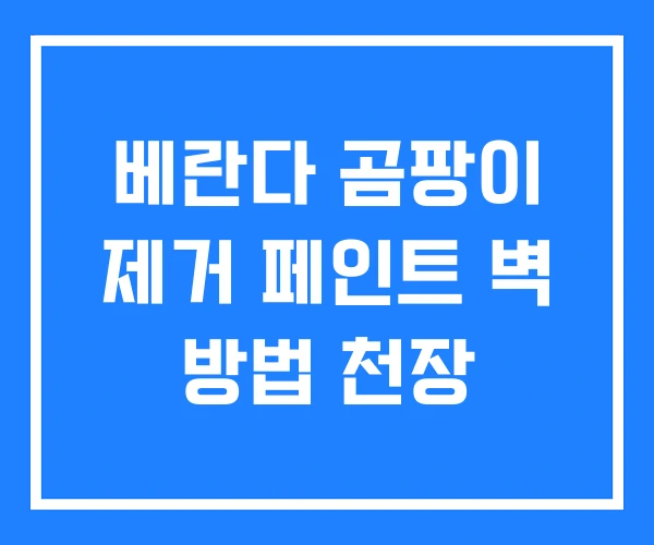 베란다 곰팡이 제거 페인트 벽 방법 천장 베란다 곰팡이 제거 페인트 벽 방법 천장