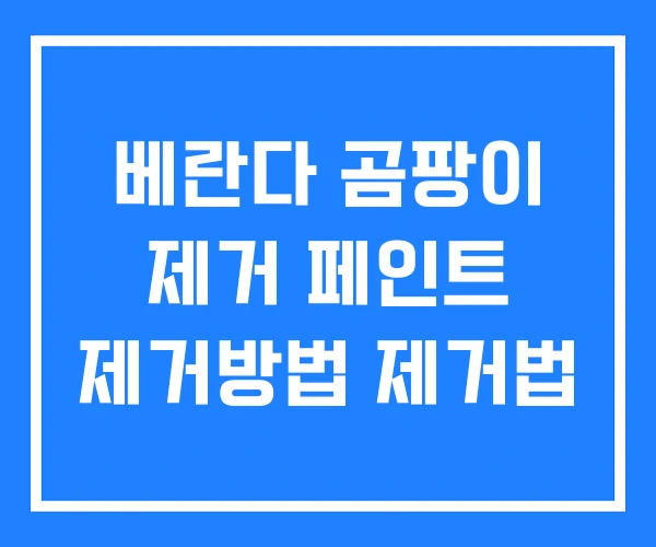 베란다 곰팡이 제거 페인트 제거방법 제거법