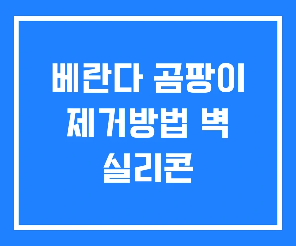 베란다 곰팡이 제거방법 벽 실리콘
