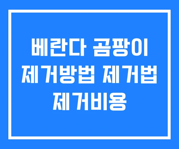 베란다 곰팡이 제거방법 제거법 제거비용