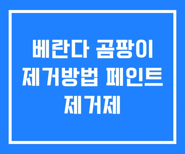 베란다 곰팡이 제거방법 페인트 제거제