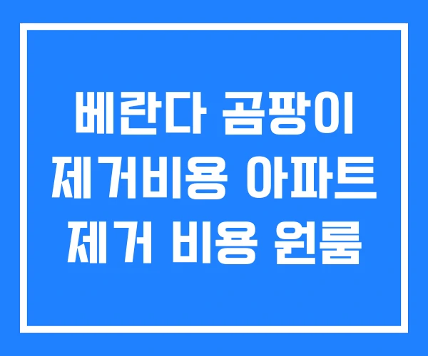 베란다 곰팡이 제거비용 아파트 제거 비용 원룸