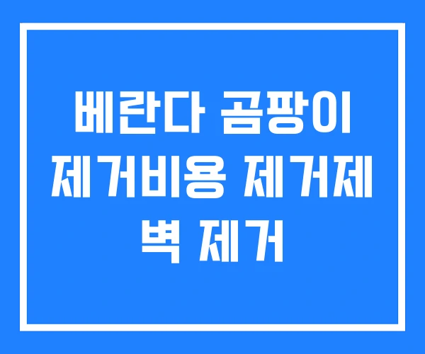 베란다 곰팡이 제거비용 제거제 벽 제거 베란다 곰팡이 제거비용 제거제 벽 제거