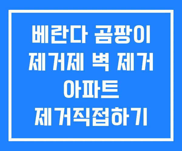 베란다 곰팡이 제거제 벽 제거 아파트 제거직접하기