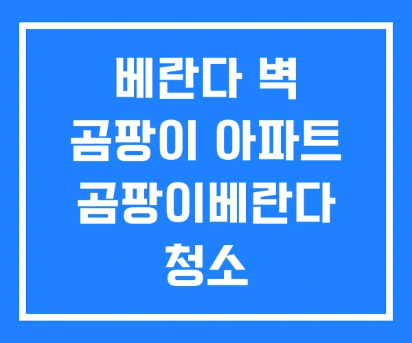 베란다 벽 곰팡이 아파트 곰팡이베란다 청소