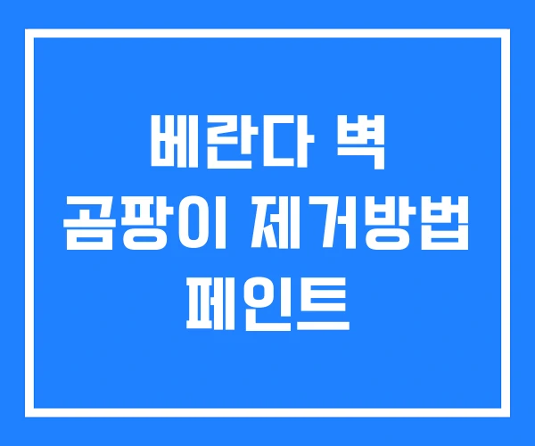 베란다 벽 곰팡이 제거방법 페인트