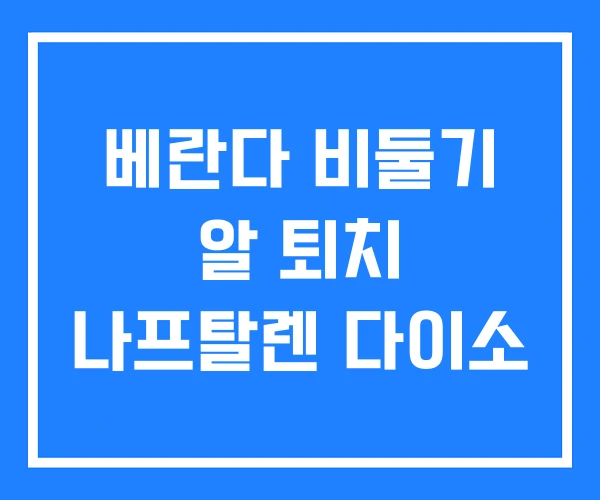 베란다 비둘기 알 퇴치 나프탈렌 다이소 베란다 비둘기 알 퇴치 나프탈렌 다이소