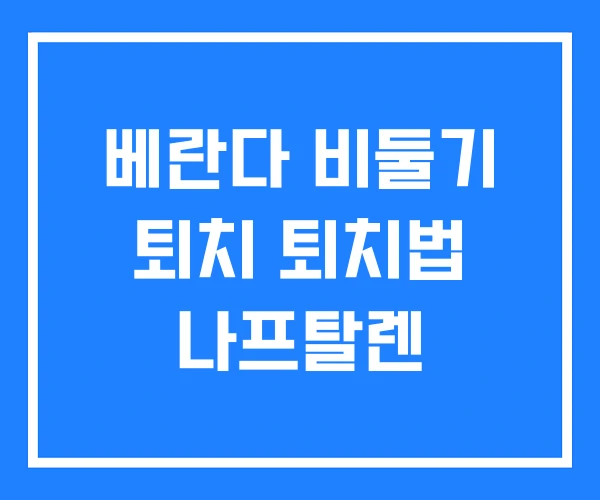 베란다 비둘기 퇴치 퇴치법 나프탈렌 베란다 비둘기 퇴치 퇴치법 나프탈렌