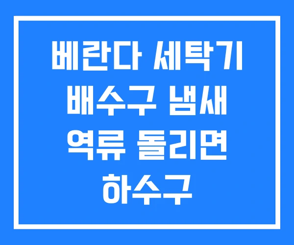베란다 세탁기 배수구 냄새 역류 돌리면 하수구 베란다 세탁기 배수구 냄새 역류 돌리면 하수구