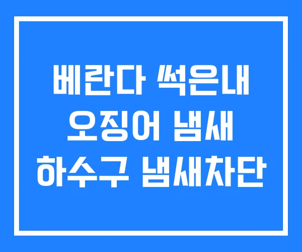 베란다 썩은내 오징어 냄새 하수구 냄새차단