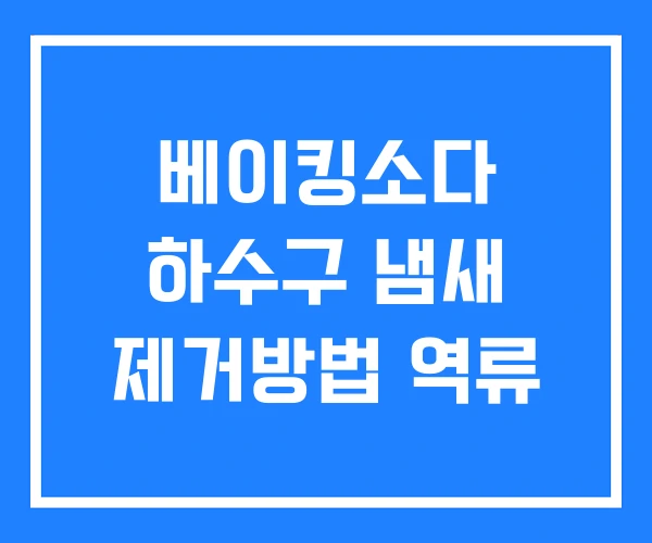 베이킹소다 하수구 냄새 제거방법 역류 베이킹소다 하수구 냄새 제거방법 역류