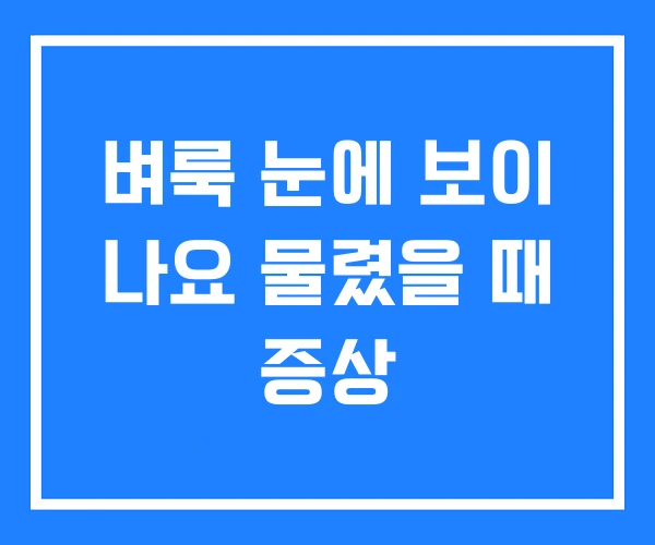 벼룩 눈에 보이 나요 물렸을 때 증상