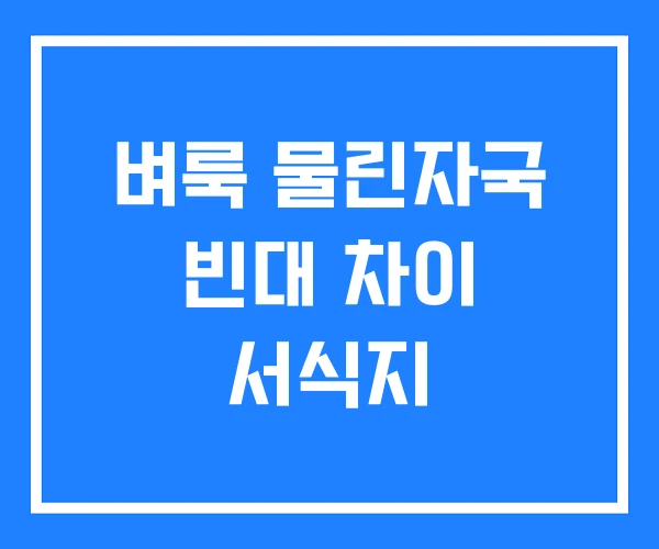 벼룩 물린자국 빈대 차이 서식지