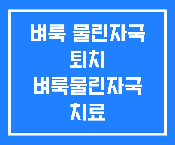 벼룩 물린자국 퇴치 벼룩물린자국 치료 벼룩 물린자국 퇴치 벼룩물린자국 치료