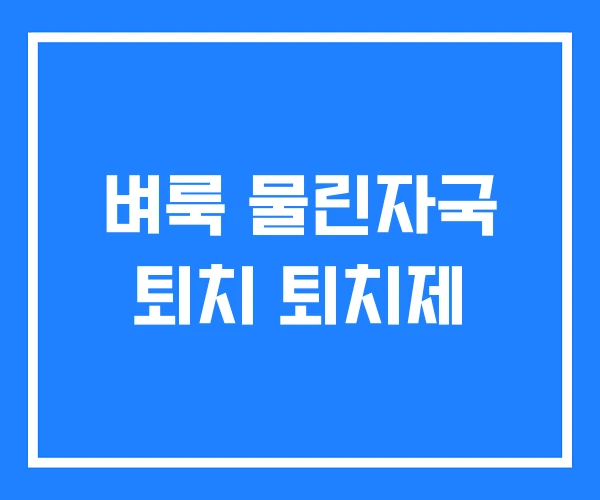 벼룩 물린자국 퇴치 퇴치제 벼룩 물린자국 퇴치 퇴치제