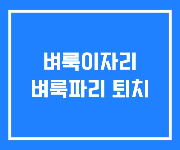 벼룩이자리 벼룩파리 퇴치