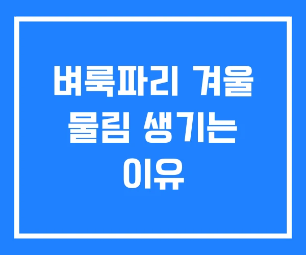 벼룩파리 겨울 물림 생기는 이유