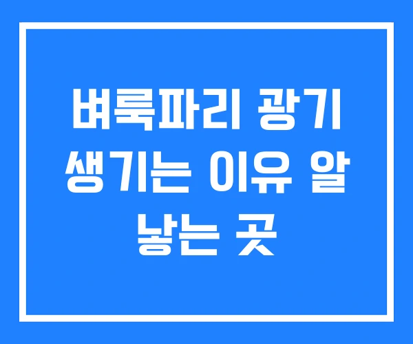 벼룩파리 광기 생기는 이유 알 낳는 곳