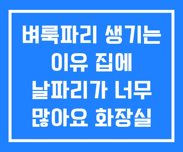 벼룩파리 생기는 이유 집에 날파리가 너무 많아요 화장실 날파리