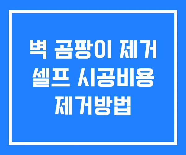 벽 곰팡이 제거 셀프 시공비용 제거방법 벽 곰팡이 제거 셀프 시공비용 제거방법