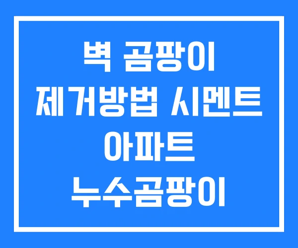 벽 곰팡이 제거방법 시멘트 아파트 누수곰팡이