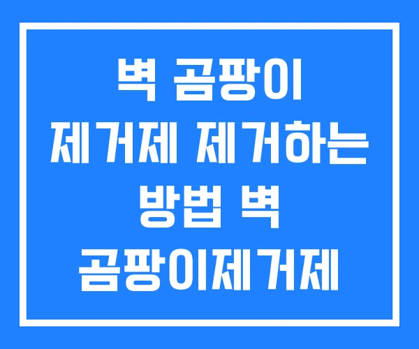 벽 곰팡이 제거제 제거하는 방법 벽 곰팡이제거제 추천 벽 곰팡이 제거제 제거하는 방법 벽 곰팡이제거제 추천