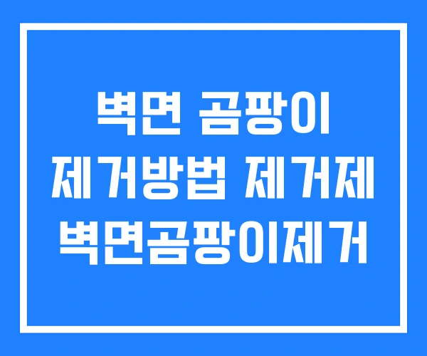 벽면 곰팡이 제거방법 제거제 벽면곰팡이제거 벽면 곰팡이 제거방법 제거제 벽면곰팡이제거