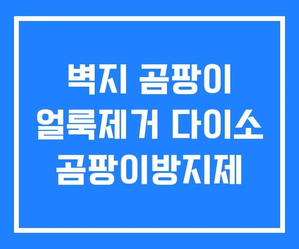 벽지 곰팡이 얼룩제거 다이소 곰팡이방지제
