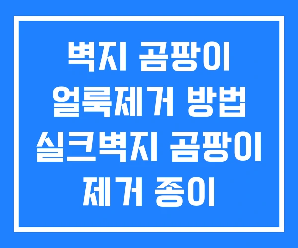 벽지 곰팡이 얼룩제거 방법 실크벽지 곰팡이 제거 종이