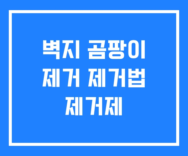 벽지 곰팡이 제거 제거법 제거제 벽지 곰팡이 제거 제거법 제거제