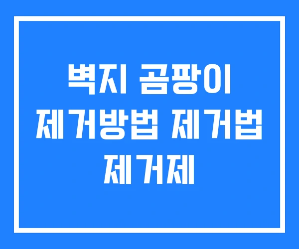 벽지 곰팡이 제거방법 제거법 제거제 벽지 곰팡이 제거방법 제거법 제거제