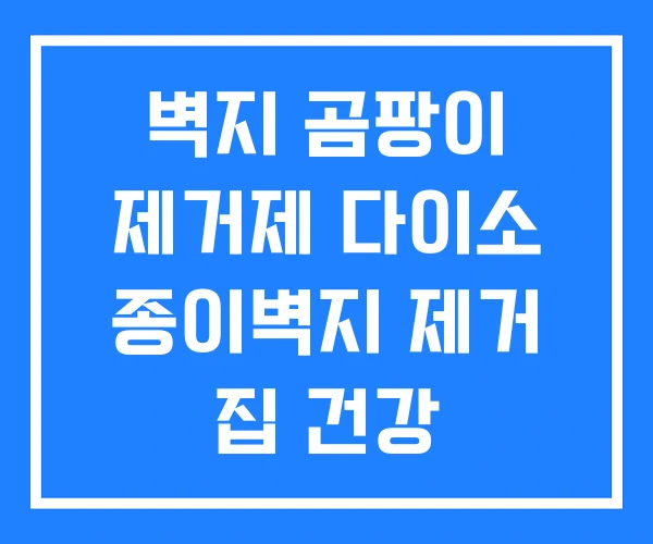 벽지 곰팡이 제거제 다이소 종이벽지 제거 집 건강 벽지 곰팡이 제거제 다이소 종이벽지 제거 집 건강