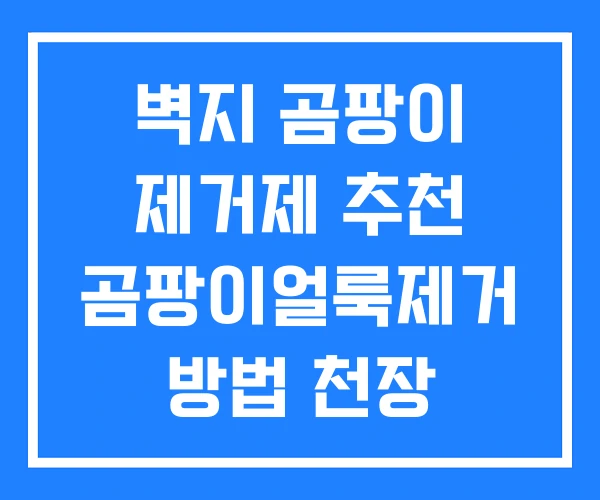 벽지 곰팡이 제거제 추천 곰팡이얼룩제거 방법 천장 벽지 곰팡이 제거제 추천 곰팡이얼룩제거 방법 천장