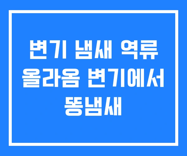 변기 냄새 역류 올라옴 변기에서 똥냄새 변기 냄새 역류 올라옴 변기에서 똥냄새