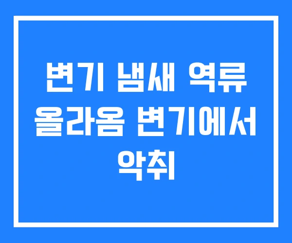 변기 냄새 역류 올라옴 변기에서 악취 변기 냄새 역류 올라옴 변기에서 악취