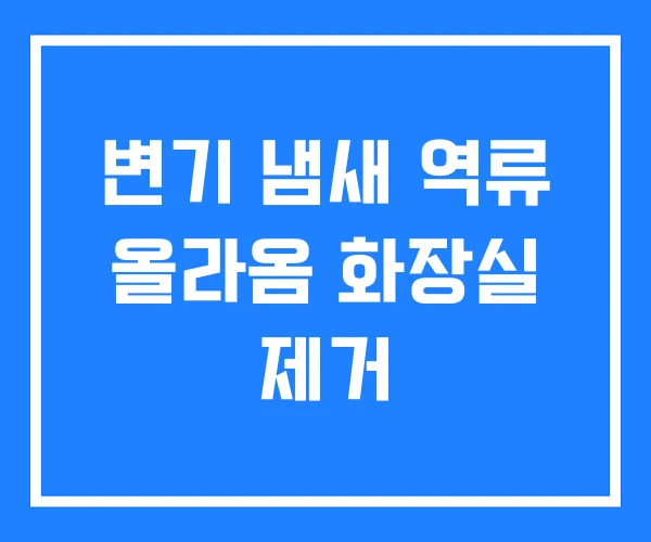 변기 냄새 역류 올라옴 화장실 제거 변기 냄새 역류 올라옴 화장실 제거