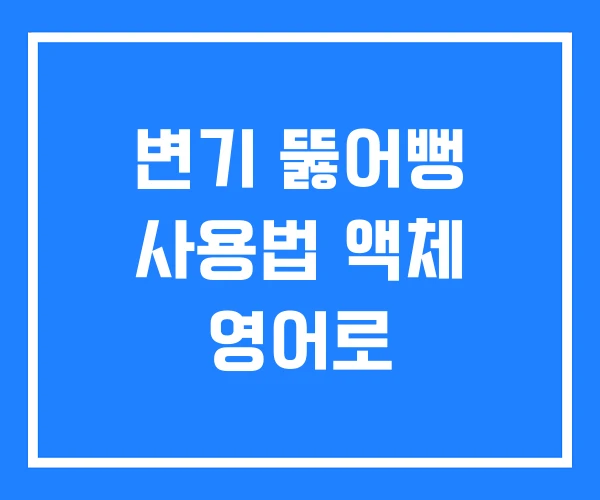 변기 뚫어뻥 사용법 액체 영어로 변기 뚫어뻥 사용법 액체 영어로